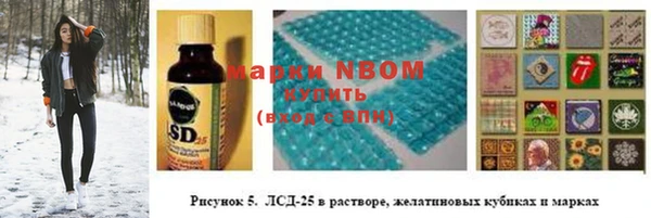 стаф Балахна