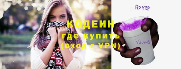 индика Баксан
