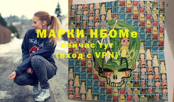 индика Баксан
