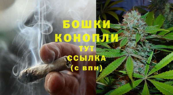 стаф Балахна
