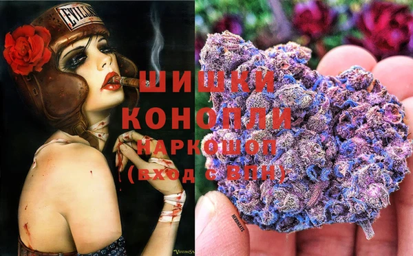 индика Баксан