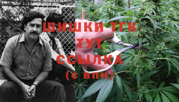 стаф Балахна