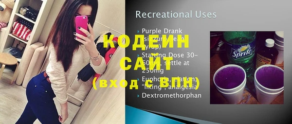 индика Баксан