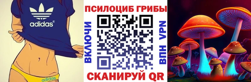 цены   Торжок  Псилоцибиновые грибы Psilocybine cubensis 